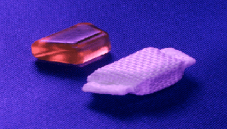 Prosthetic Disc Nucleus (PDN)